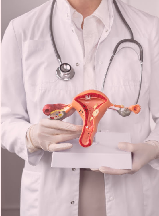 Dra Karina | Ginecologista